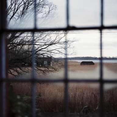 Film photo by Adam Turner, developed and scanned at Just Shoot Film