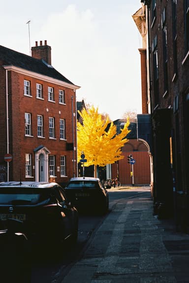 Film photo by Jade Boothby, developed and scanned at Just Shoot Film