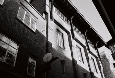 Film photo by Barney Goodman, developed and scanned at Just Shoot Film