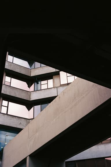 Film photo by Jade Boothby, developed and scanned at Just Shoot Film