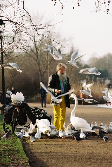 Film photo by Tom Mitchell, developed and scanned at Just Shoot Film